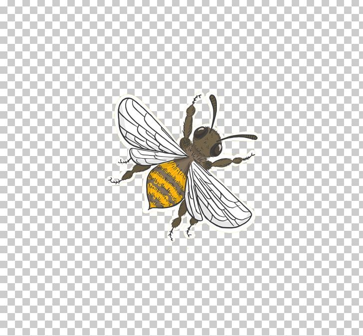 Honey Bee Apidae PNG, Clipart, Animal, Arthropod, Balloon Cartoon, Bee, Boy Cartoon Free PNG Download