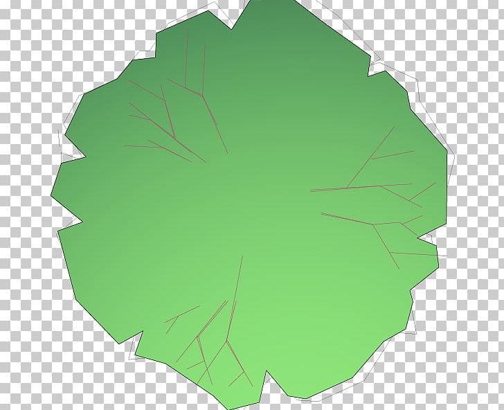 Leaf Tree PNG, Clipart, Grass, Green, Leaf, Plant, Spiraea Free PNG Download