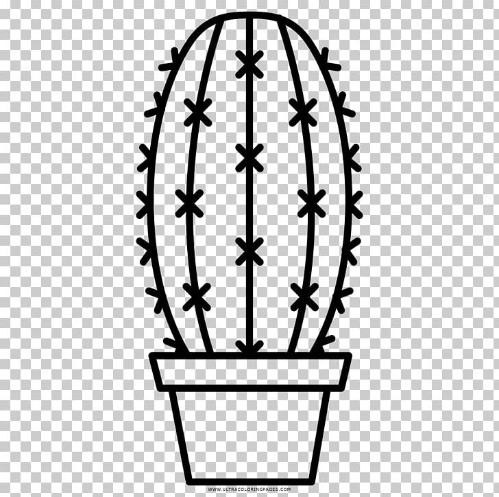 Paper Coloring Book Drawing Succulent Plant PNG, Clipart, Black And White, Cactaceae, Circle, Coloring Book, Drawing Free PNG Download