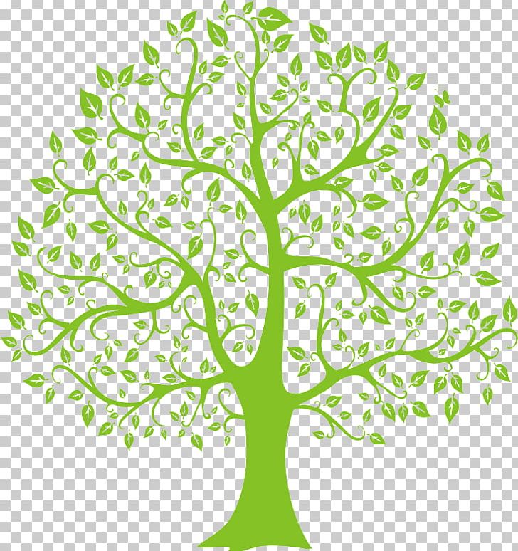 Tree PNG, Clipart, Art, Branch, Drawing, Family Tree, Flora Free PNG Download