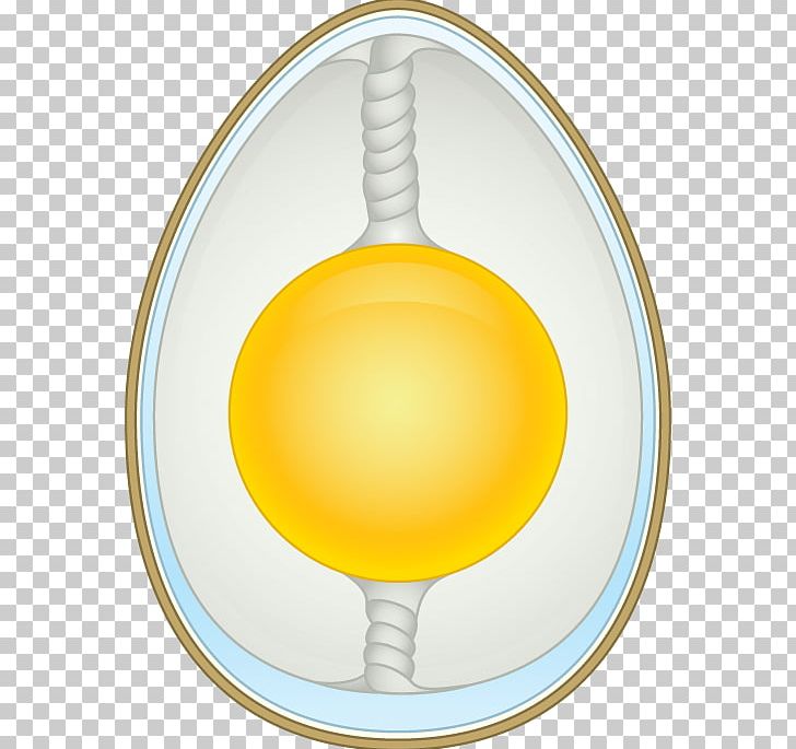 Chicken Boiled Egg Vitelline Membrane Eggshell PNG, Clipart, Animals, Boiled Egg, Chicken, Circle, Egg Free PNG Download