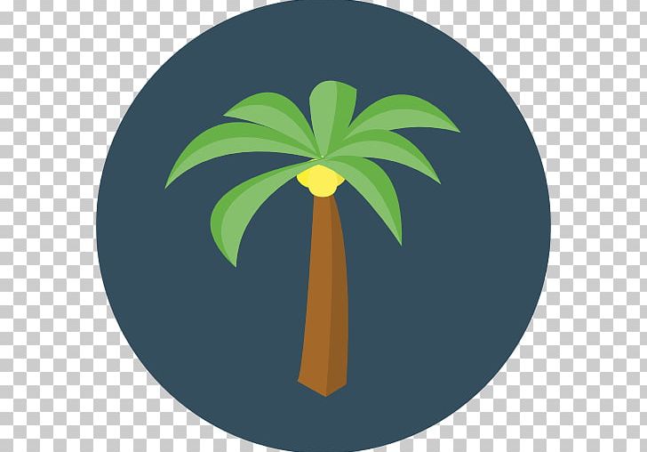 Computer Icons Arecaceae Tree PNG, Clipart, Arecaceae, Arecales, Computer Icons, Desktop Wallpaper, Ecology Free PNG Download
