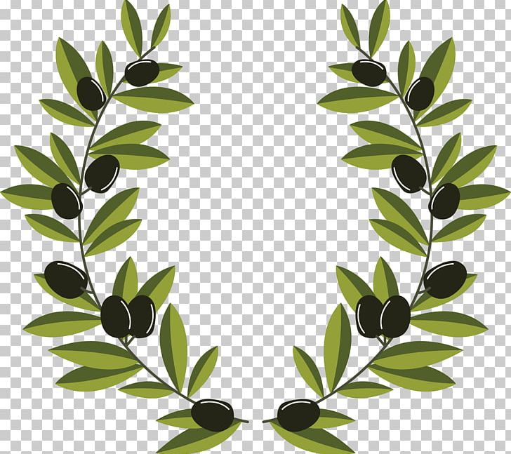 Olive Branch Olive Wreath PNG, Clipart, Branch, Branches, Branch Vector, Christmas Decoration, Decorative Free PNG Download