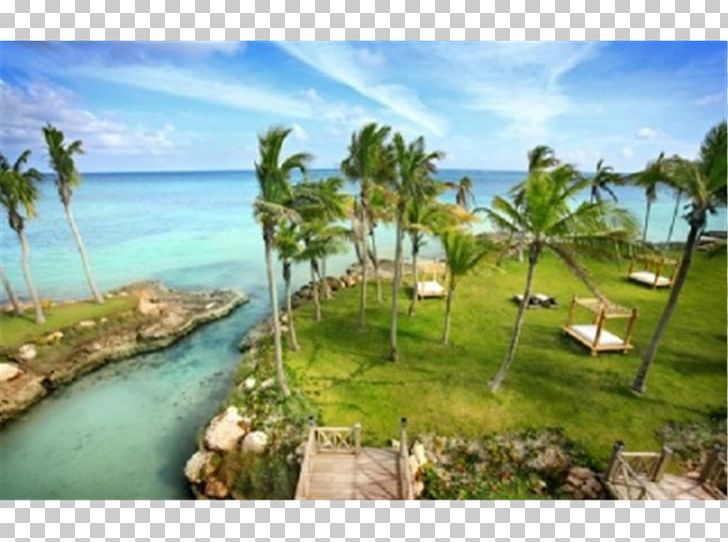 Resort Vacation Property Arecaceae Tourism PNG, Clipart, Arecaceae, Arecales, Bay, Caribbean, Coast Free PNG Download