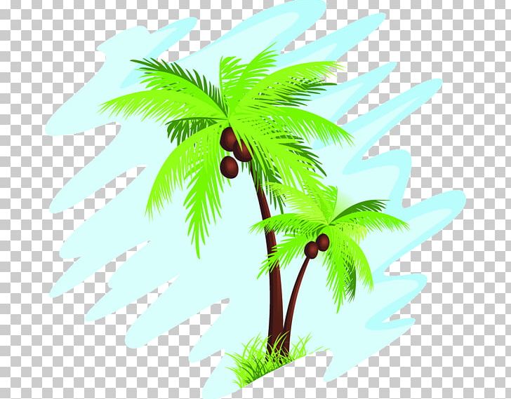 Arecaceae Coconut Tree PNG, Clipart, Arecaceae, Arecales, Asian Palmyra Palm, Branch, Coconut Free PNG Download