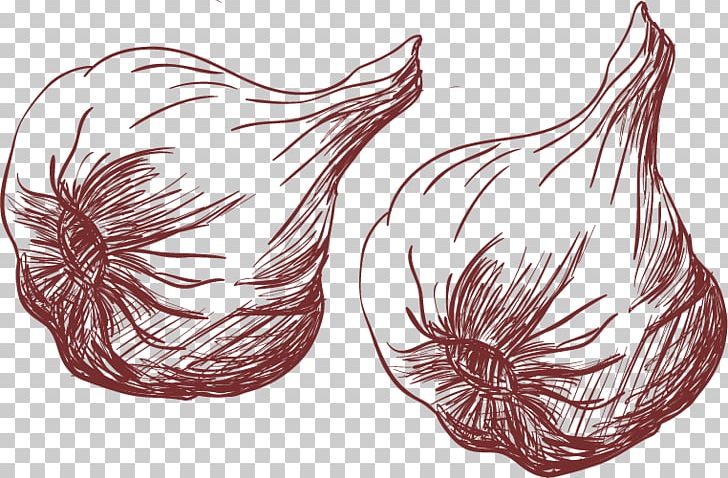 Bouillabaisse Drawing Garlic PNG, Clipart, Black Garlic, Download, Encapsulated Postscript, Food, Garlic Vector Free PNG Download
