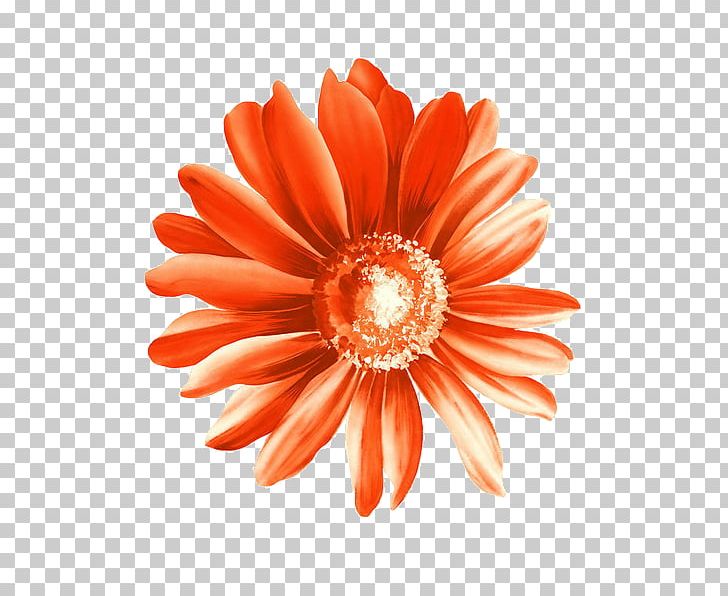 Flower Drawing PNG, Clipart, Cut Flowers, Dahlia, Daisy Family, Download, Drawing Free PNG Download