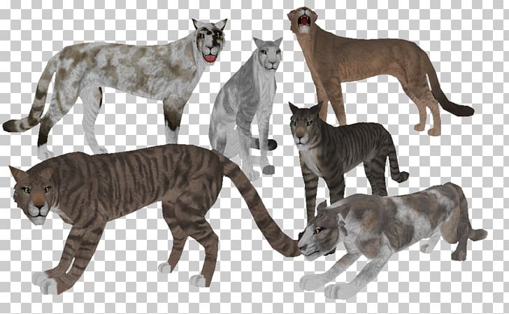 Feral Cat Bengal Cat Kitten Felidae Tortoiseshell Cat PNG, Clipart, Animal, Animal Figure, Animals, Bengal Cat, Big Cat Free PNG Download