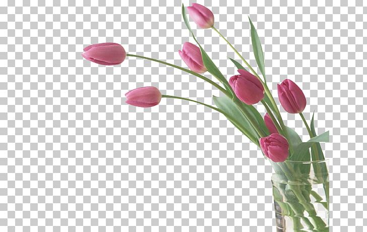 Flower Tulip Desktop PNG, Clipart, Blog, Bud, Cicek, Cicek Resimleri, Cut Flowers Free PNG Download