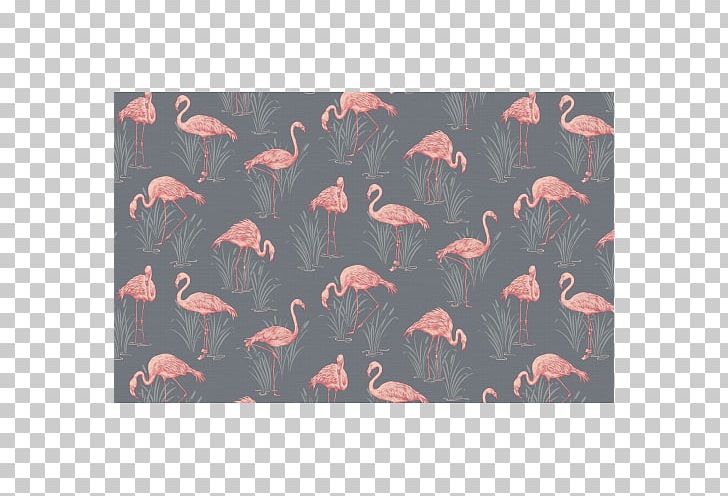 Paper Greater Flamingo Grey PNG, Clipart, Animals, Art, Art Film, Bird, Bricolage Free PNG Download