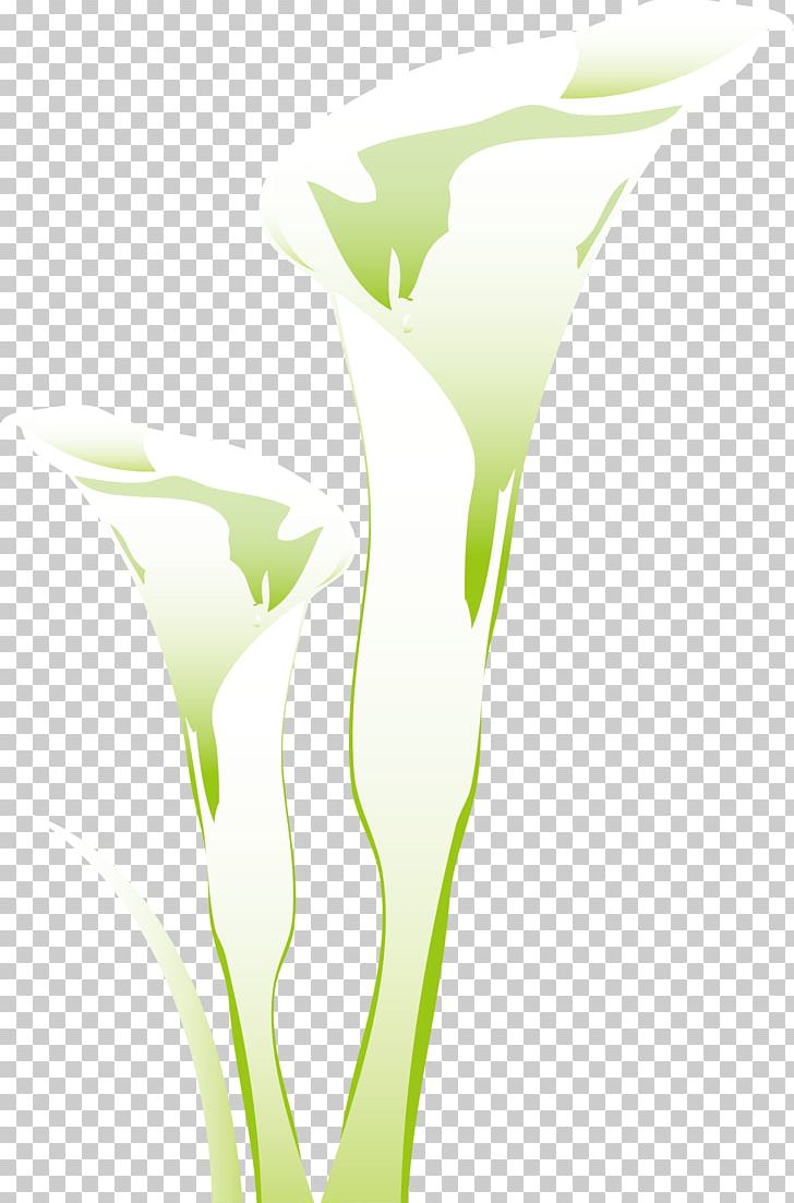 Petal Grasses Desktop Leaf PNG, Clipart, Bea, Computer, Computer Wallpaper, Desktop Wallpaper, Family Free PNG Download
