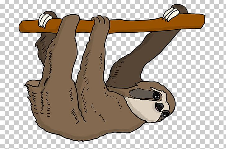 Three-toed Sloth Graphics Drawing PNG, Clipart, Arm, Carnivoran, Cartoon, Drawing, Finger Free PNG Download