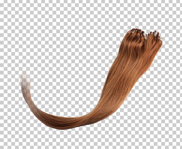 Artificial Hair Integrations Long Hair Hair Coloring Hairstyle PNG, Clipart, Artificial Hair Integrations, Brown Hair, Color, Hair, Hair Coloring Free PNG Download