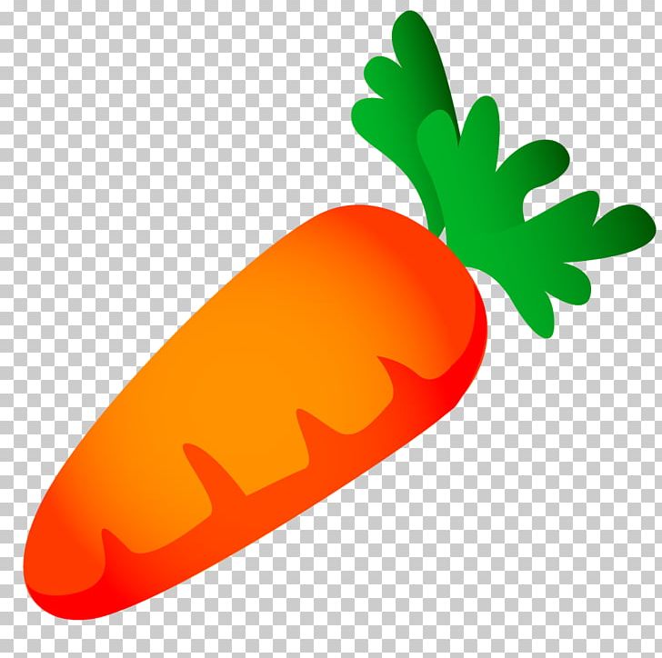 Carrot Vegetable Food Ingredient PNG, Clipart, Bunch Of Carrots, Carrot, Carrot Cartoon, Carrot Juice, Carrots Free PNG Download