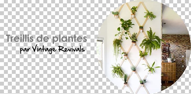 Garden Ideas Indoor Gardening Green Wall PNG, Clipart, Cut Flowers, Flora, Floral Design, Floristry, Flower Free PNG Download