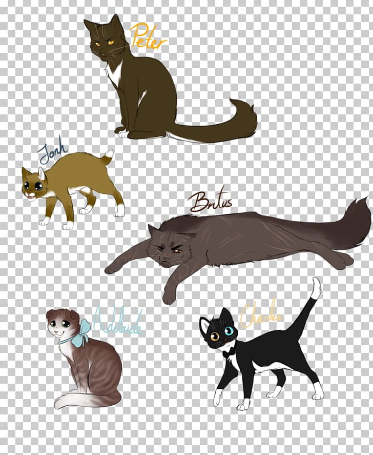 Kitten Whiskers Cat Dog Canidae PNG, Clipart, Animal, Animal Figure, Animals, Canidae, Carnivoran Free PNG Download