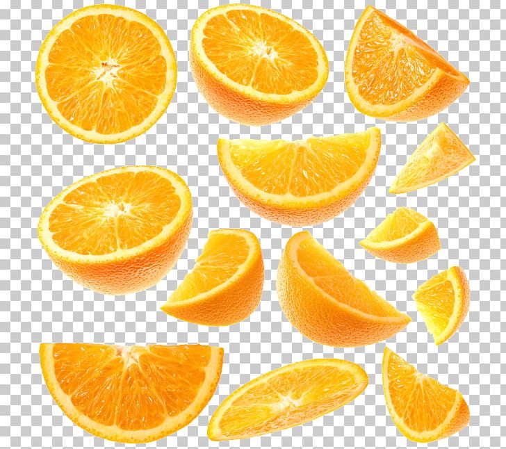 orange slices clipart