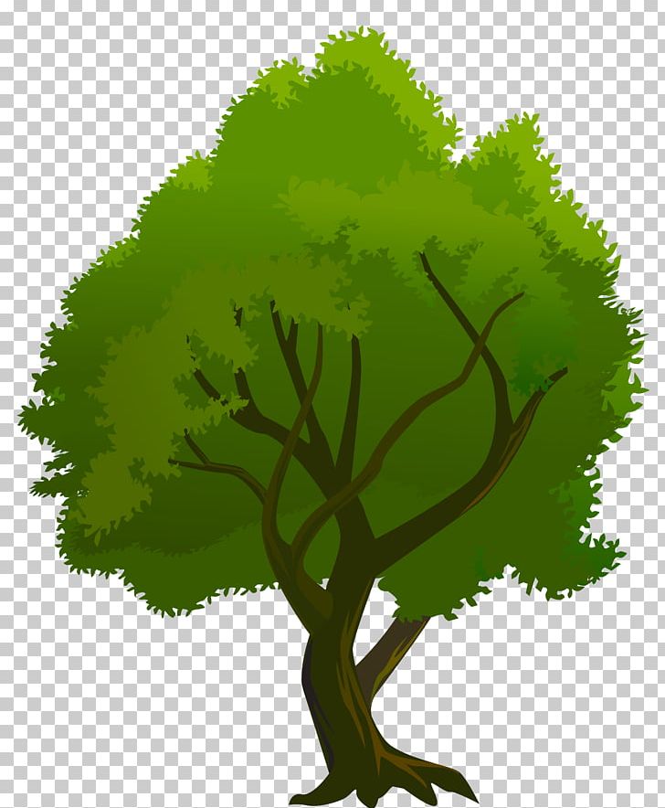Tree PNG, Clipart, Art, Branch, Desktop Wallpaper, Download, Grass Free PNG Download
