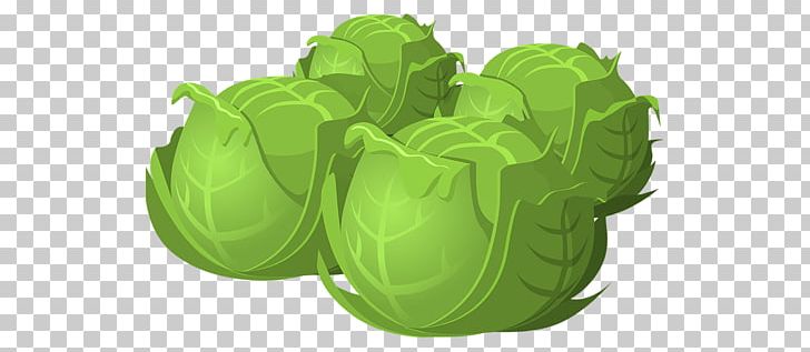 Cabbage Spring Greens Vegetable PNG, Clipart, Alzheimer, Brassica Oleracea, Cabbage, Carrot, Collard Greens Free PNG Download