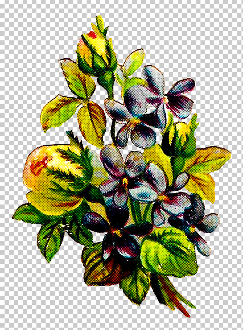 Flower Plant Leaf Anthurium Pattern PNG, Clipart, Anthurium, Bouquet, Flower, Leaf, Magnolia Free PNG Download
