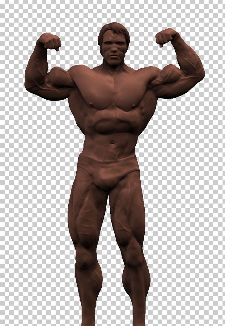 Arnold Schwarzenegger Transparent Background PNG, Clipart, Abdomen, Arm, Barechestedness, Bodybuilder, Bodybuilding Free PNG Download