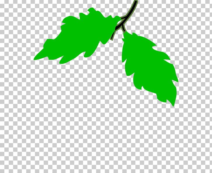 Common Grape Vine Concord Grape PNG, Clipart, Artwork, Black And White, Branch, Cluster, Common Grape Vine Free PNG Download