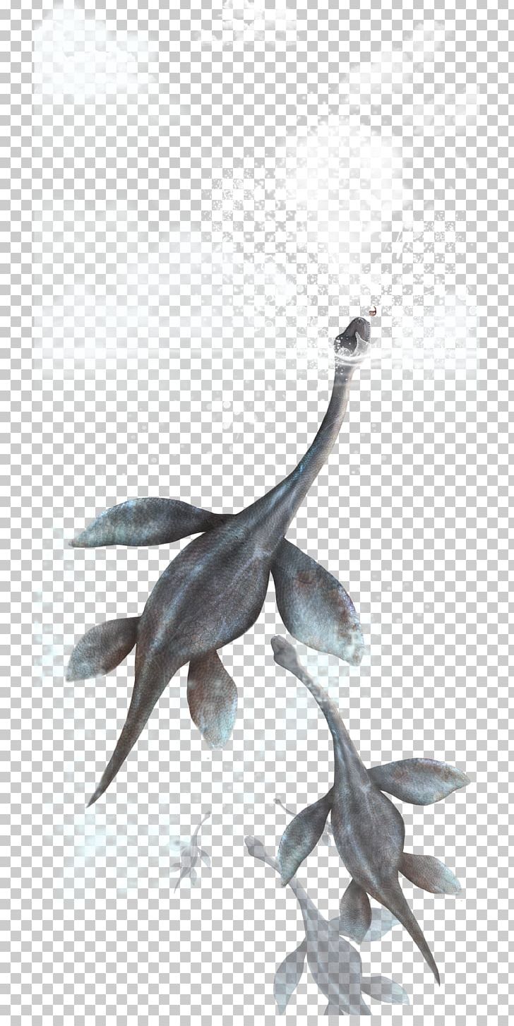 Dinosaur Swimming Underwater Diving Computer File PNG, Clipart, Dinosaur, Dinosaurs, Diving, Download, Fauna Free PNG Download