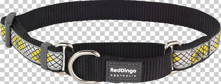 Dog Collar Dingo Martingale PNG, Clipart, Bone, Collar, Dingo, Dog, Dog Collar Free PNG Download
