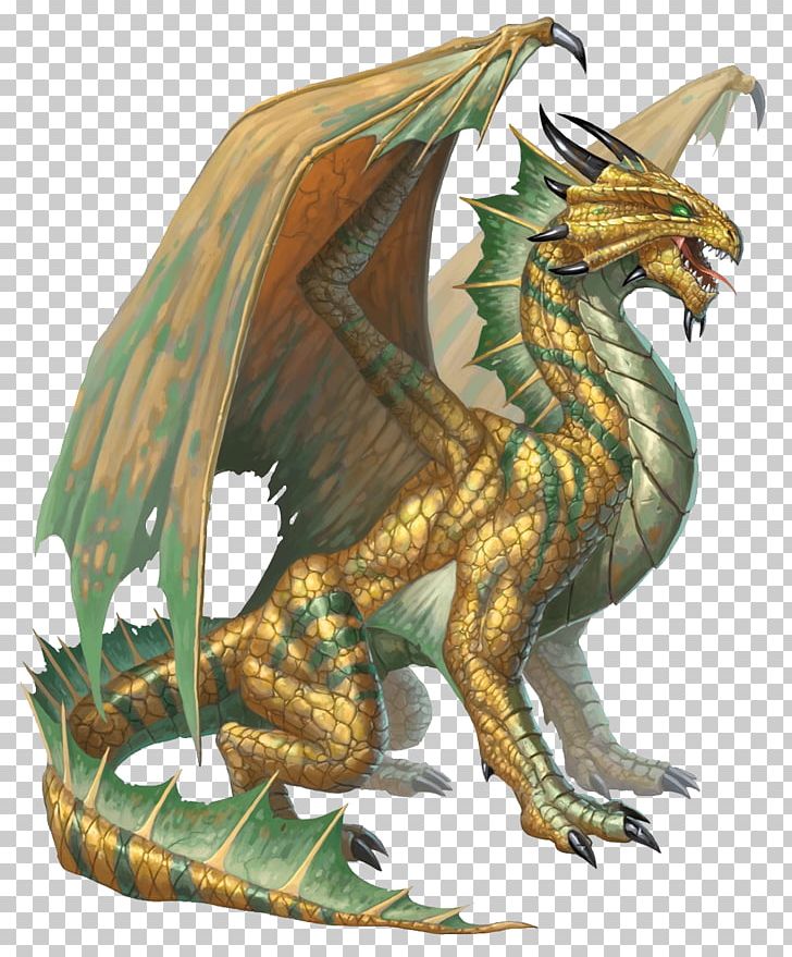 Dungeons & Dragons Chromatic Dragon Bronze Metallic Dragon PNG, Clipart ...