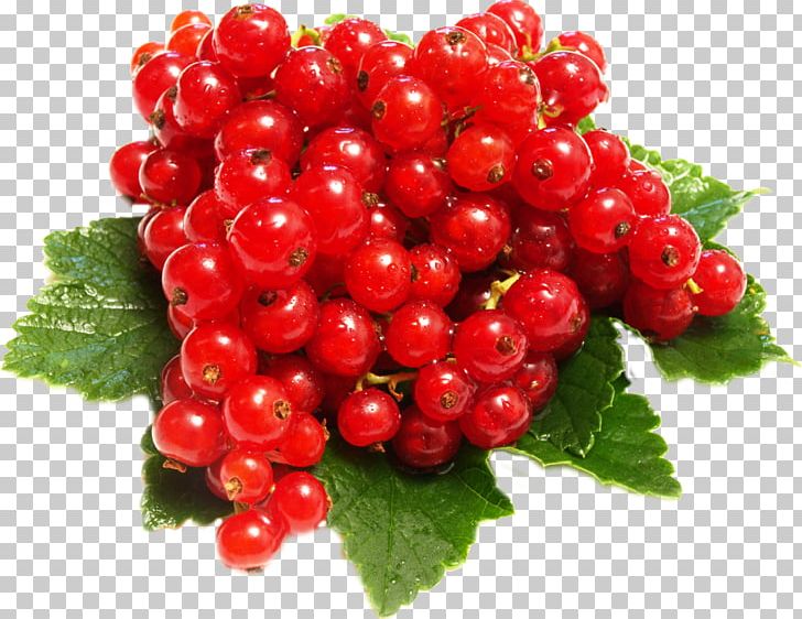 Juice Redcurrant Blackcurrant Gooseberry Fruit PNG, Clipart, Berries, Berry, Bilberry, Boysenberry, Currant Free PNG Download