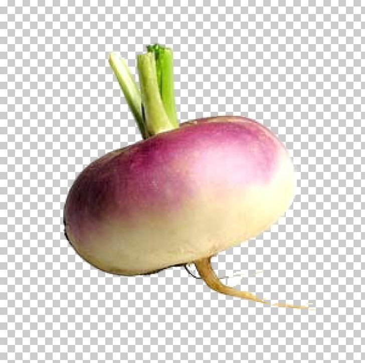 Shalgam Turnip Vegetable Radish PNG, Clipart, Beet, Clip Art, Computer Icons, Diet Food, Etsy Free PNG Download