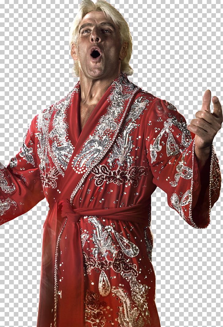 Ric Flair WWE 2K14 WWE Raw Professional Wrestling PNG, Clipart, American Wrestling Association, Charlotte Flair, Clothing, Costume, Costume Design Free PNG Download