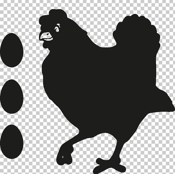 Rooster Brahma Chicken Hen Drawing PNG, Clipart, Animation, Beak, Bird, Black, Black And White Free PNG Download