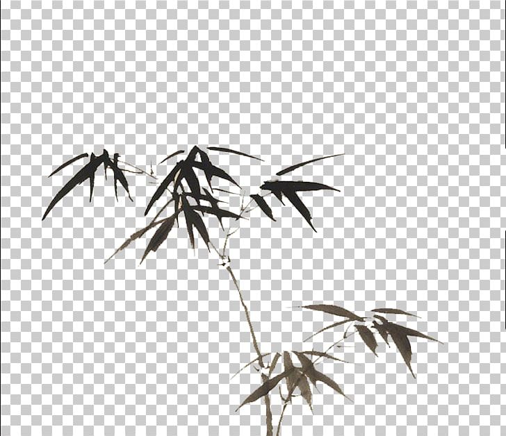 Watercolor Painting Bamboo PNG, Clipart, Black, Black And White, Branch, Chinese Border, Chinese Dragon Free PNG Download