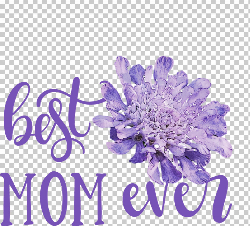 Lavender PNG, Clipart, Best Mom Ever, Biology, Cut Flowers, Flower, Lavender Free PNG Download