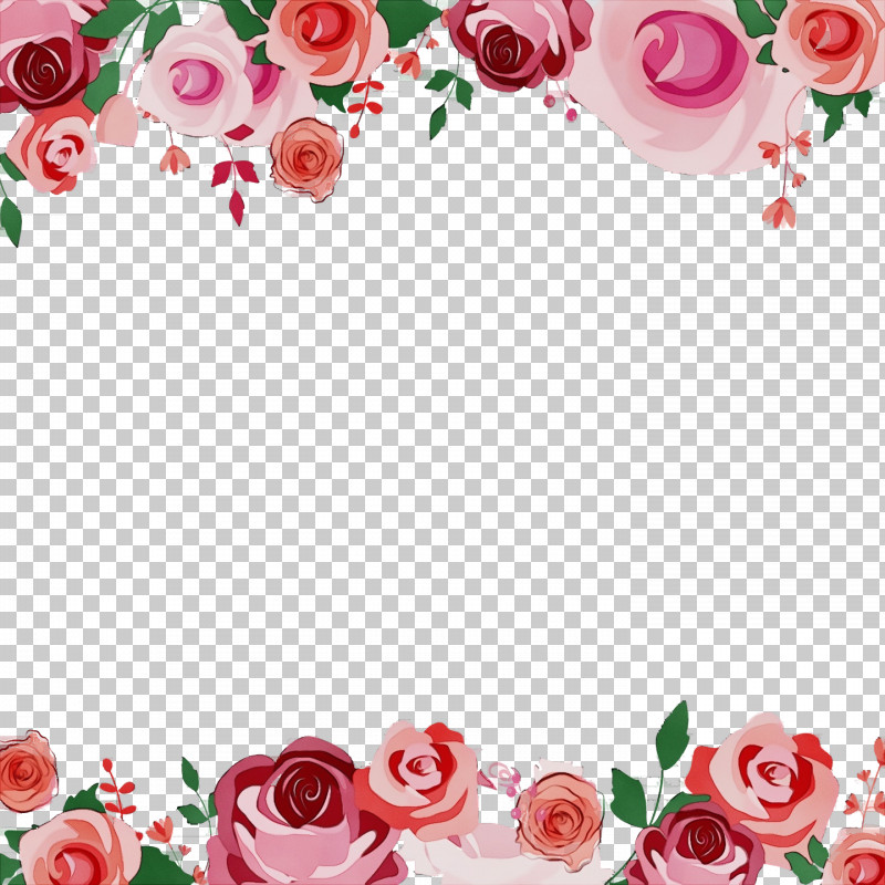 Garden Roses PNG, Clipart, Drawing, Flower, Garden Roses, Paint, Painting Free PNG Download