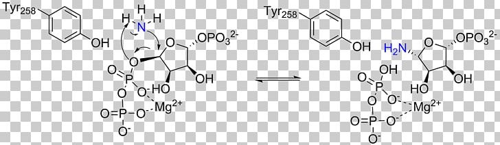 Amidophosphoribosyltransferase Phosphoribosyl Pyrophosphate Purine Metabolism Phosphoribosylamine PNG, Clipart, Amidophosphoribosyltransferase, Ammonia, Angle, Area, Chemical Reaction Free PNG Download
