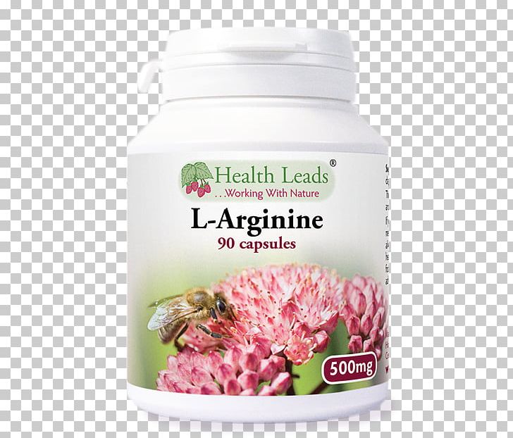 Dietary Supplement Capsule Lysine Acetylcarnitine Amino Acid PNG, Clipart, Acetylcarnitine, Amino Acid, Arginine, Capsule, Dietary Supplement Free PNG Download