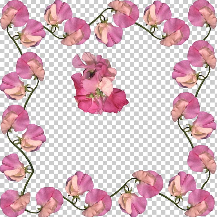 Frames Photography PNG, Clipart, Branch, Cut Flowers, Digital Photo Frame, Download, Floral Design Free PNG Download