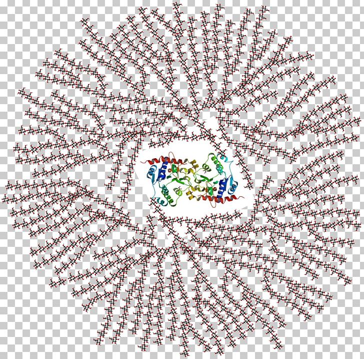 Glycogenolysis Polysaccharide Branching Glycogenin PNG, Clipart, Amylase, Area, Art, Branching, Carbohydrate Free PNG Download