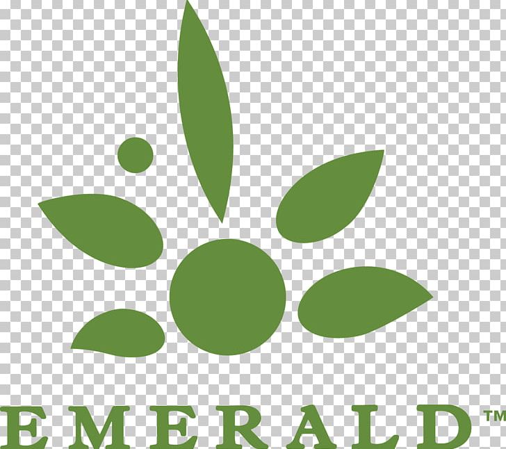 Logo Product Brand Font Green PNG, Clipart, Brand, Emerald, Flower, Grass, Green Free PNG Download