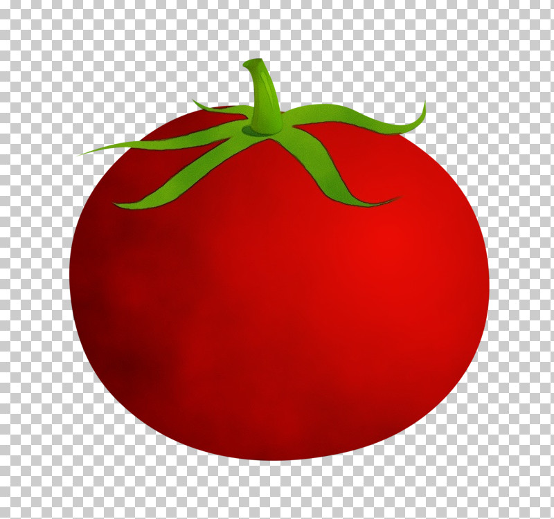 Tomato PNG, Clipart, Food, Fruit, Nightshade Family, Paint, Plant Free PNG Download