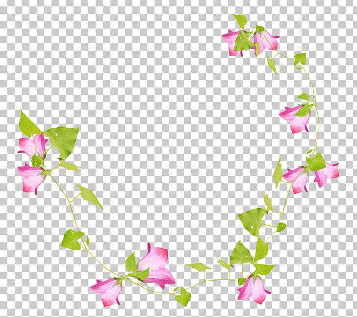 Floral Design Liana Branch PNG, Clipart, Author, Blog, Blossom, Branch, Cut Flowers Free PNG Download