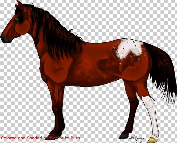 Mane Mustang Stallion Foal Colt PNG, Clipart, Bridle, Colt, Dog Harness, Fauna, Foal Free PNG Download