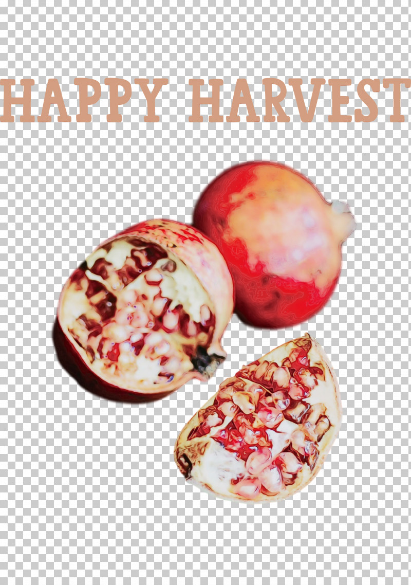 Superfood Cranberry Pomegranate / M Pomegranate / M Pomegranate PNG, Clipart, Cranberry, Fruit, Happy Harvest, Harvest Time, Paint Free PNG Download