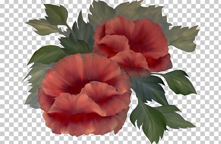 Encapsulated PostScript TIFF File Formats PNG, Clipart, Annual Plant, Begonia, Encapsulated Postscript, Flower, Flowering Plant Free PNG Download
