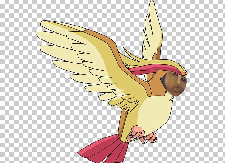Pokémon GO Pokémon Crystal Pidgeotto PNG, Clipart, Ash Ketchum, Beak, Bird, Bird Of Prey, Bulbasaur Free PNG Download
