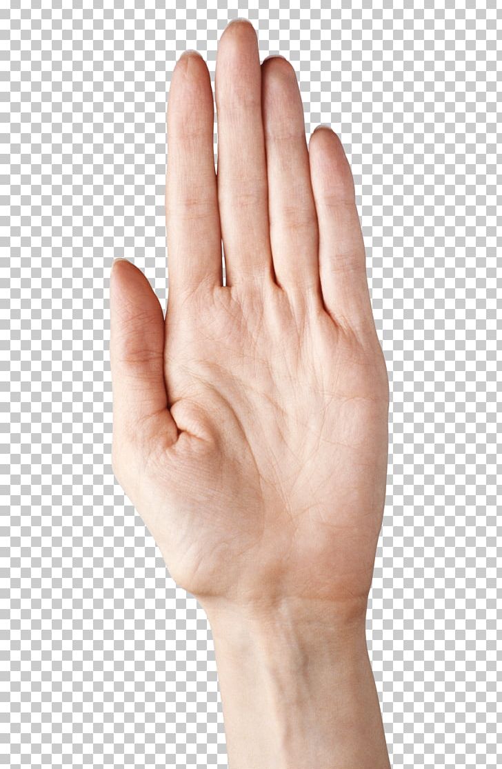 Thumb Nail Upper Limb Hand Model PNG, Clipart, Alpha Compositing, Arm, Clipart, Finger, Five Fingers Free PNG Download