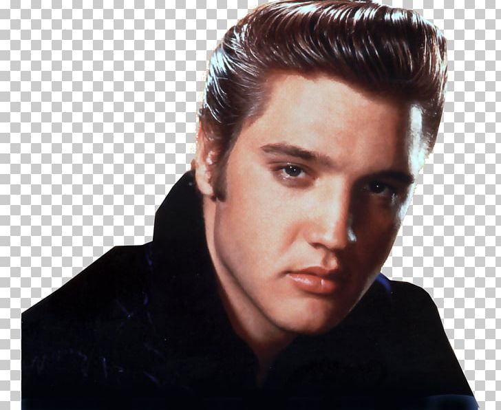 Elvis Presley Hairstyle Pompadour 1950s Rockabilly PNG, Clipart, Actor, Chin, Ducktail, Elvis, Elvis Presley Free PNG Download