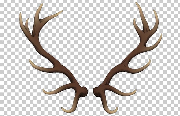 Reindeer Antler Elk Horn PNG, Clipart, Animal, Animals, Antler, Cell, Deer Free PNG Download